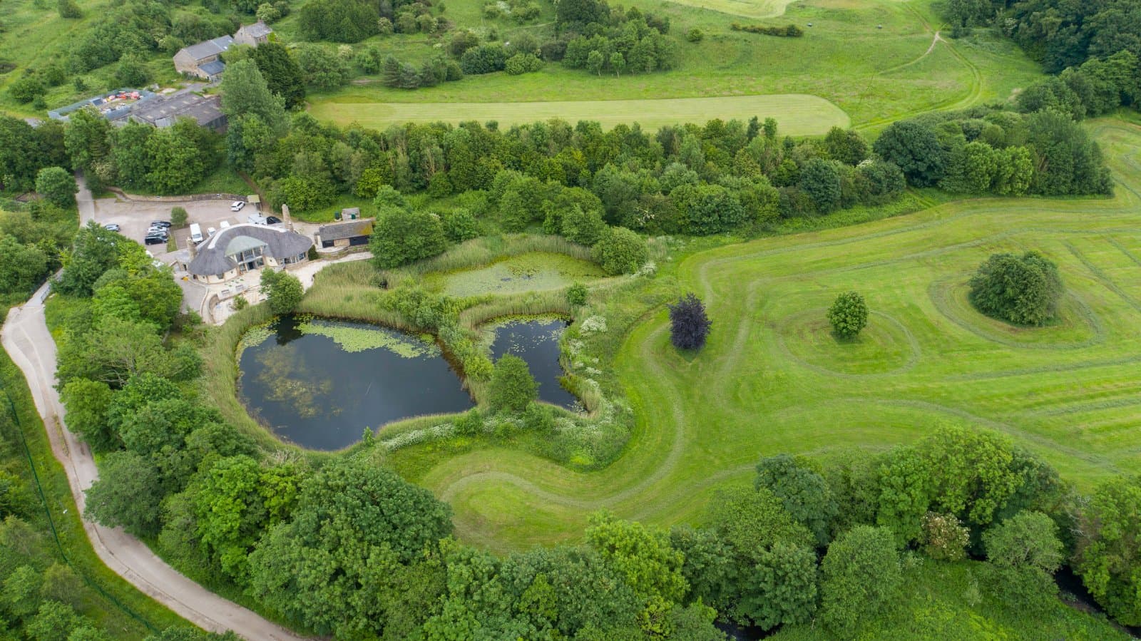 Forrest Hills